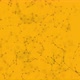 Plexus Bg Yellow Black - VideoHive Item for Sale
