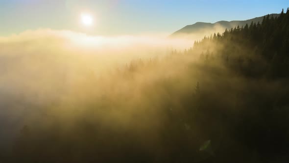 Aerial View of Amazing Scenery with Foggy Dark Mountain Forest Pine Trees at Autumn Sunrise alt