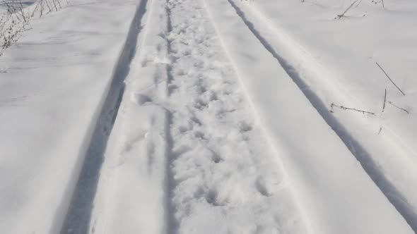 Panning over motor sled traces in the snow  4K 2160p 30fps UltraHD footage - Fresh trails of snowmob alt