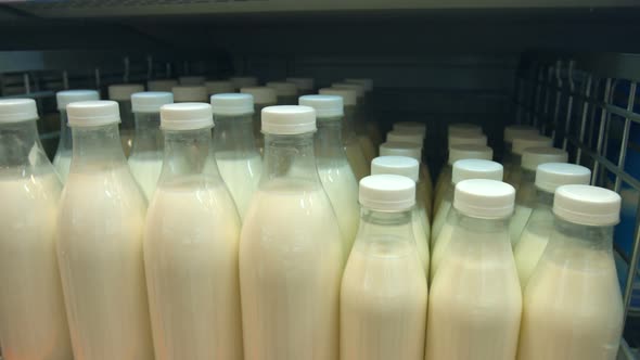 Bottled Milk on Shelf in Store