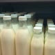Bottled Milk on Shelf in Store - VideoHive Item for Sale