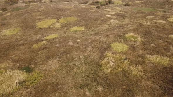 Autumn Lawn From a Height
