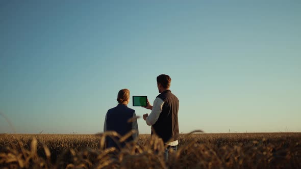 Farmers Using Pad Computer for Online Communication with Partners at Wheat Field alt