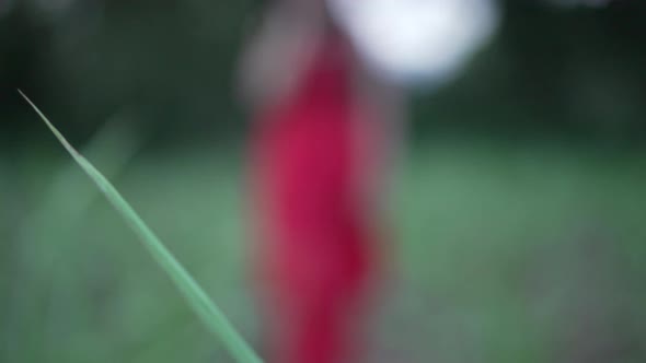 Indian Girl in Green Field