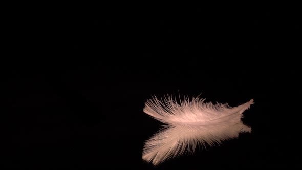 White Feather Fall
