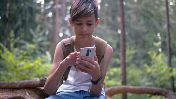 Teen Boy Sits in the Forest on the Roots of an Old Tree and Uses the Phone Summer Sunny Day