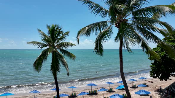 Sights tourism landmark of Alagoas Brazil. Landmark beach at Northeast Brazil. alt
