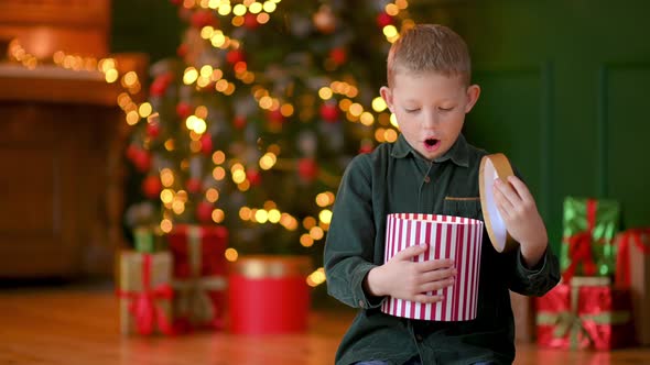 Christmas spirit. alt