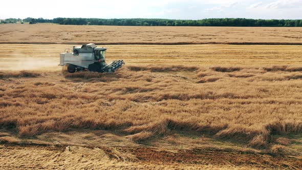Wheat Is Getting Reaped By an Agricultural Machine alt