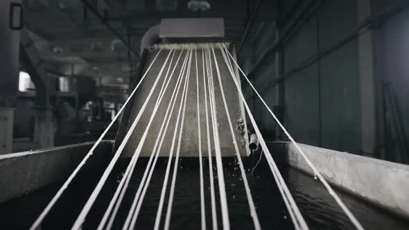 Technology for Processing Plastic Waste Into New Polymers alt