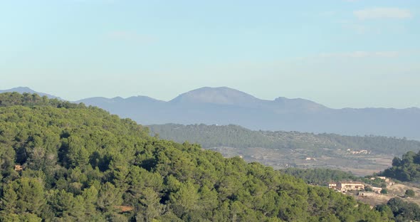 Beautiful Coniferous Forests in the Mountains alt