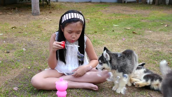 Cute Asian Girl And Siberian Husky Puppies Playing Bubble In The Garden alt