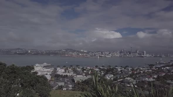 Auckland panorama