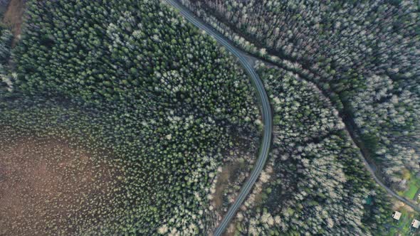 Aaerial shot flying over road in tree forest.Nature background in 4K resolution