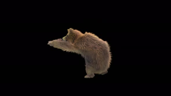 187 Bear Standing Magic Attack 4K alt