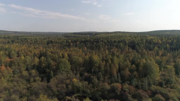 Aerial view of the autumn forest 03 alt