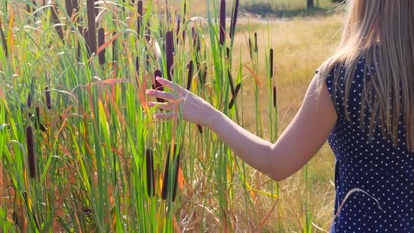 Female Walking Beside Tall Grass And Touching With Her Hand Bulrush2