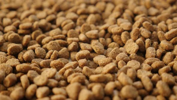 Brown pet dry food slow tilt 4K 2160p 30fps UltraHD footage - Close-up pile of cat or dog pellet mea alt
