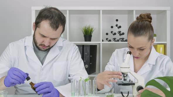 Two Young Researchers in Lab Conduct Research Looking Through Microscope