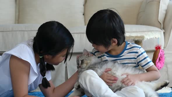 Asian Children Playing Persian Cat In Living Room alt