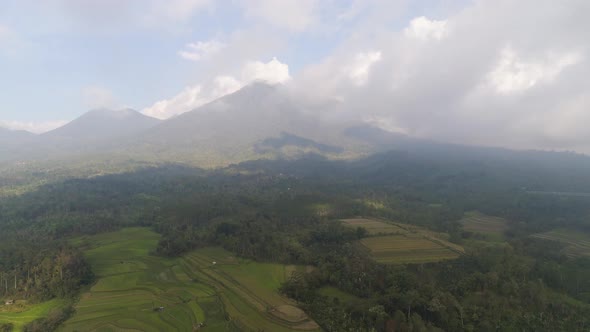 Farmlands and Village Bali, Indonesia alt
