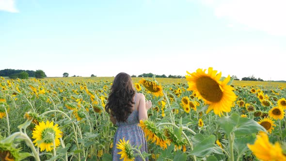 Unrecognizable Pretty Girl Walking Among Yellow Sunflower Field alt