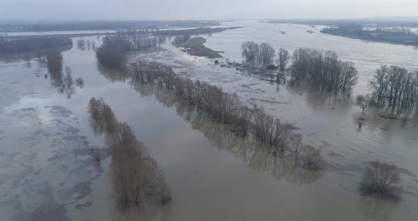 Aerial view of trees in high water in the river Waal, Gelderland, Netherlands. alt