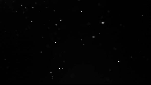 Snow Falling On Black Background Slow Motion