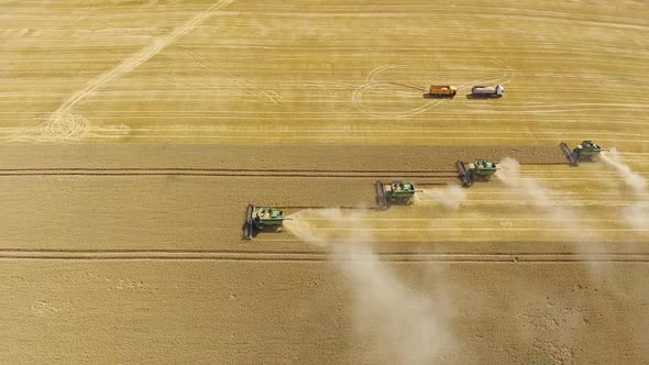 Harvester Harvest Ripe Wheat