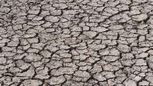 Drought in the Marshes of Camargue, in the South East of France, slow motion alt