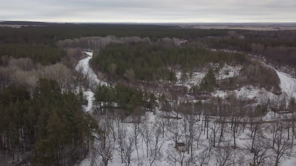 Snowy Forest Area in Winter Day, Aerial Shot
