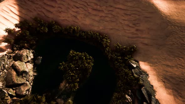 Top Down Aerial View of Oasis in Desert alt