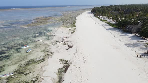 Shore of Zanzibar Island Tanzania at Low Tide alt