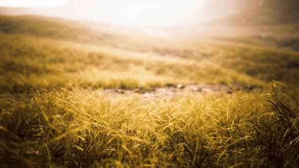 Golden Rocks and Grass in Mountains alt