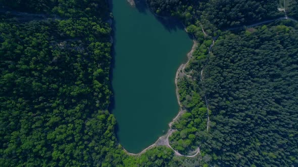 Lake among dense forests, aerial view. alt