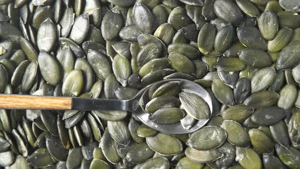 Pumpkin Seeds as Background alt