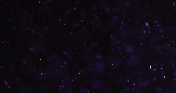 Particles And Bubbles In Water Against Black Background alt