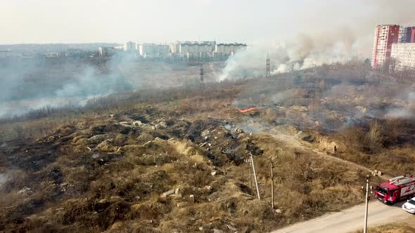 Burnt Field and Smoke in the Forest After a Fire Near the City alt