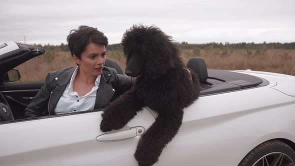 A Large Black Poodle Stands in the Back Seat of a Convertible and a Sensual Young Woman Hugs Him alt