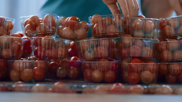 Factory Worker Tomato Packs Sorting Process Checking Product Quality Close Up alt