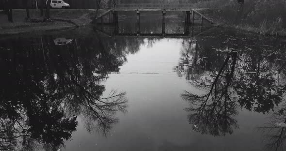 Flight of the Camera Over the River with a View of Autumn Trees and Reflections of BW Foliage