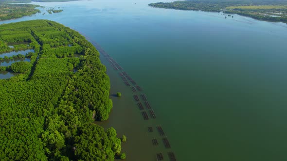 An island-shaped mangrove forest in the middle of a river mouth near the sea. alt