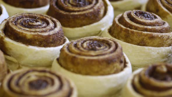 Batch of freshly baked cinnamon rolls pulled out of over and sitting to cool, filmed as extreme clos alt