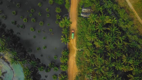 Cinematic Drone Footage of Vacuum Truck sequences in the middle of the jungle surrounded by palm oil alt