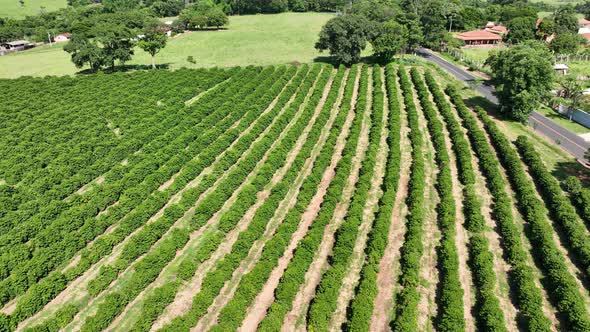 Farming landscape at countryside rural scenery. alt