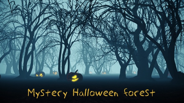 Mystery Halloween Dead Forest