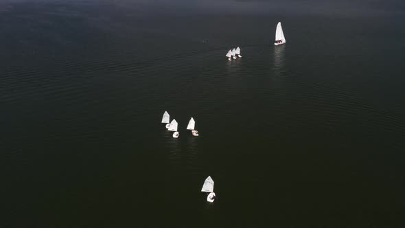 Yachts and Sailboats on the Minsk Sea or the Zaslavsky Reservoir Near Minsk