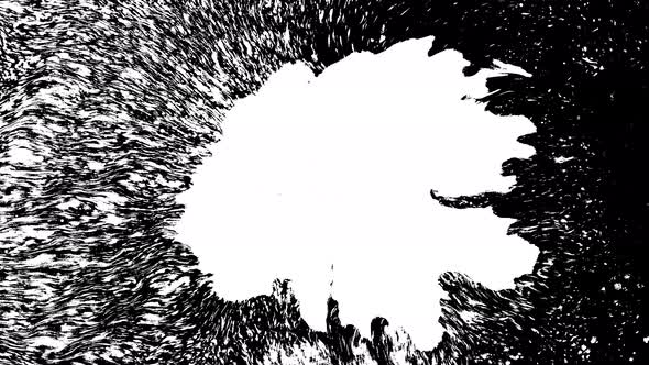 Bloom Ink. Beautiful White Watercolor Ink Drops Transition on Black Background alt