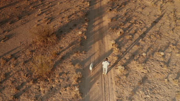 Man walking pit bull off leash through the mojave desert alt