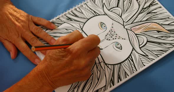 Senior woman drawing with a pencil alt